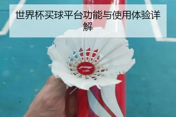 世界杯买球平台功能与使用体验详解