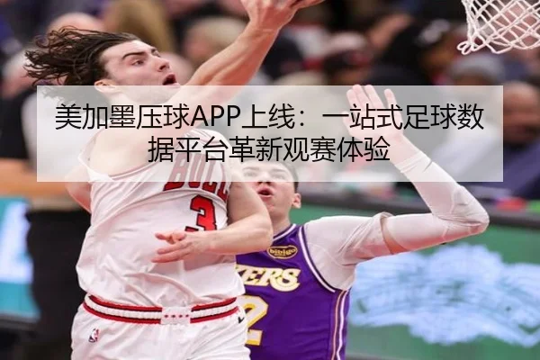 美加墨压球APP上线：一站式足球数据平台革新观赛体验