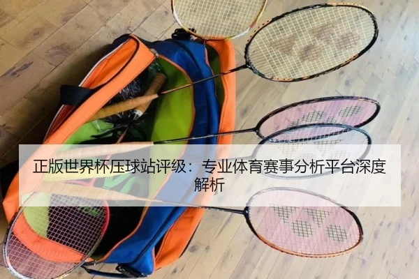 正版世界杯压球站评级：专业体育赛事分析平台深度解析
