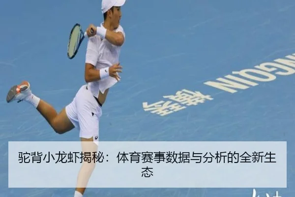 驼背小龙虾揭秘：体育赛事数据与分析的全新生态